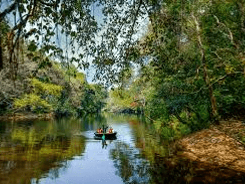 Adavi Eco Tourism